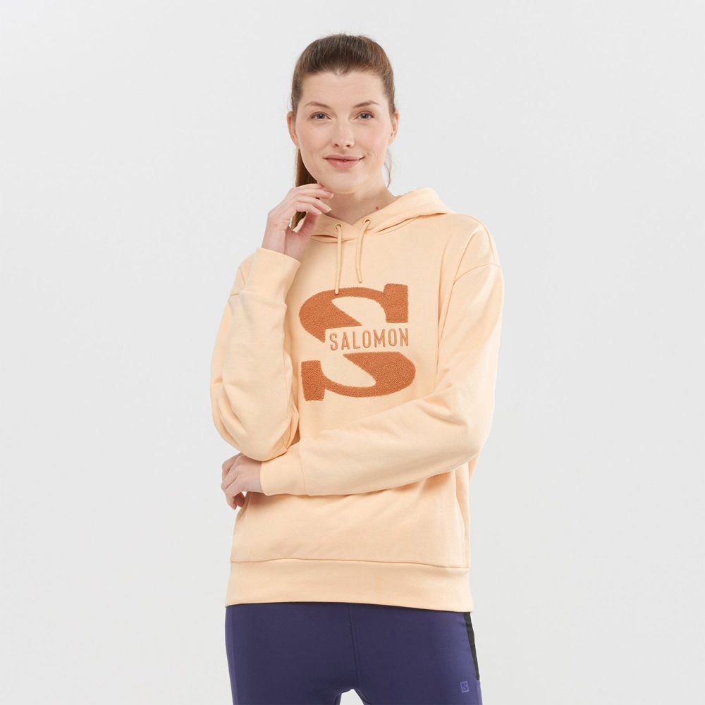 Salomon OUTLIFE LOGO SUMMER Pullover Mujer - Beige - Colombia (50637-BVYS)